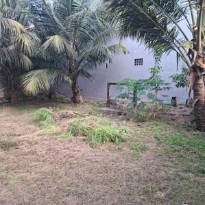 Prime Land for Sale – Saranankara Road - Image 3