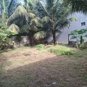Prime Land for Sale – Saranankara Road - Image 4