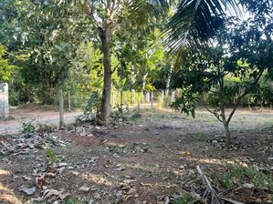 Land for Sale in Tissamaharama