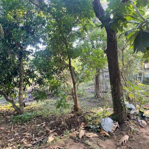 Land for Sale in Tissamaharama - Image 2