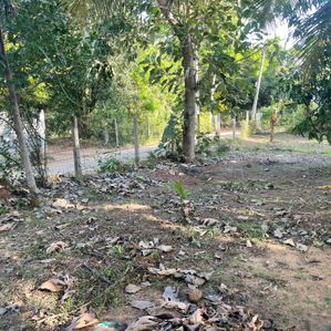 Land for Sale in Tissamaharama - Image 4