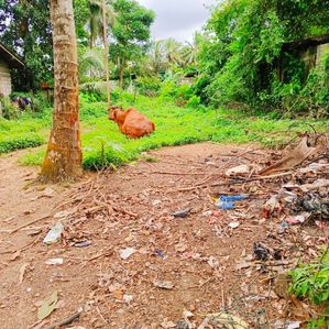Land for Sale in Athurugiriya - Image 3