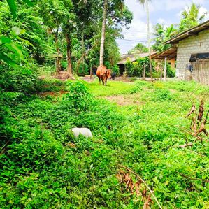 Land for Sale in Athurugiriya - Image 4