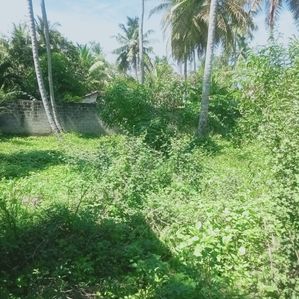 Land for Sale in Negombo - Image 3