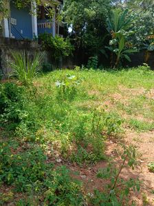 Land for Sale in Nugegoda