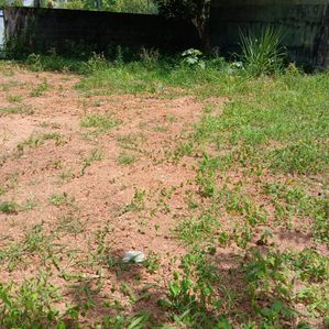 Land for Sale in Nugegoda - Image 3