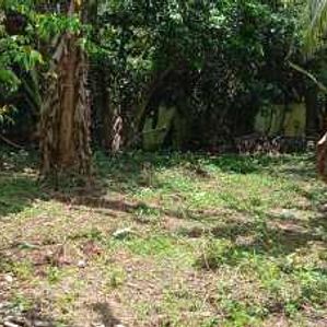 Land in Kahathuduwa Highway Entrance - Image 2