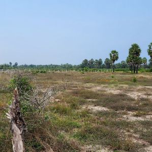 Prime Land for Sale Batticaloa - Image 4