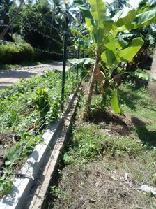 Land for sale in Kaluthara