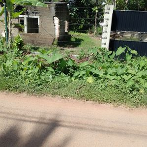 Land for sale in Kaluthara - Image 4
