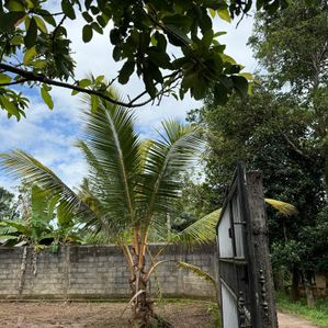 Land for Sale in Ragama - Image 2