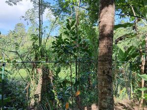 Amunugoda Land for Sale