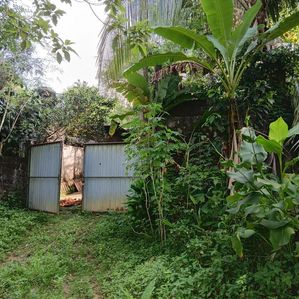Amunugoda Land for Sale - Image 2