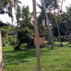 1 Acre Land with House for Sale - Bandaragama - Image 2