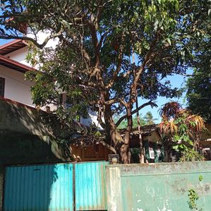 Land for Sale in Maharagama Town Area - Image 3