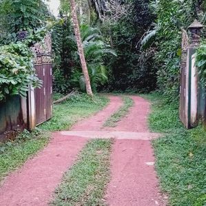 රාගම තේවත්ත පල්ලිය ආසන්නයෙන් වෙළකට මායිම් පර්චස් 8ක් - Image 2