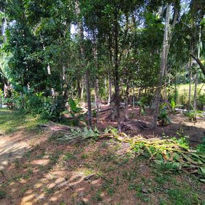 රාගම තේවත්ත පල්ලිය ආසන්නයෙන් වෙළකට මායිම් පර්චස් 8ක් - Image 4