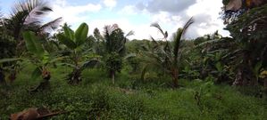 Homagama Land for Sale