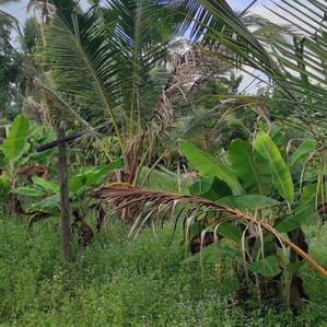 Homagama Land for Sale - Image 3