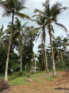 Land for Sale in Kottawa