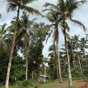 Land for Sale in Kottawa - Image 4
