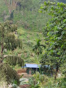 Dik Oya Estate Land Sale