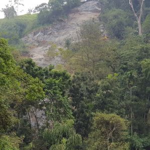 Dik Oya Estate Land Sale - Image 3
