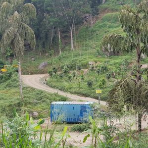 Dik Oya Estate Land Sale - Image 4