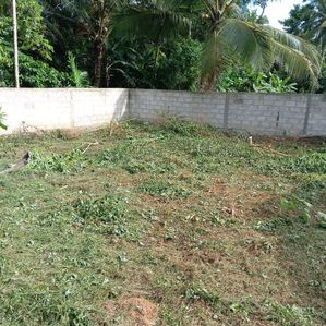 හෝමාගම ඉඩමක් විකිනීමට - Image 3