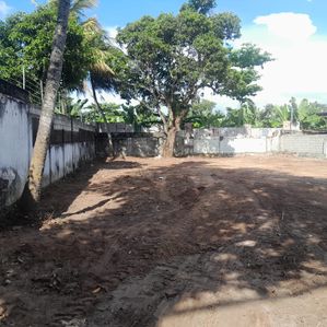 Valuable Land for Sale - Rathmalana Airport Road - Image 4