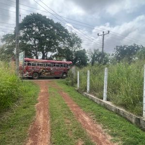 Coconut Land for Sale in Anamaduwa - Image 2