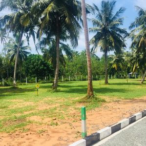 Most Valuable Land Plots For Sale In Kadawatha - Image 4