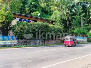 Land for Sale in Rathnapura