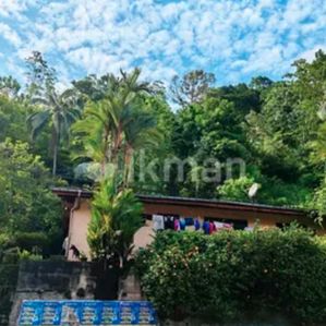 Land for Sale in Rathnapura - Image 2