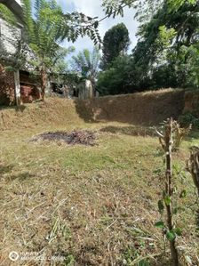 Land for Sale Matale