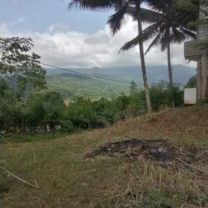 Land for Sale Matale - Image 2