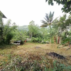 Land for Sale Matale - Image 3
