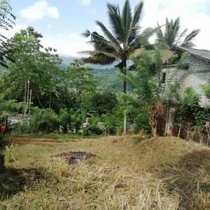 Land for Sale Matale - Image 4