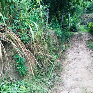 Land for Sale in Moneragala - Image 3