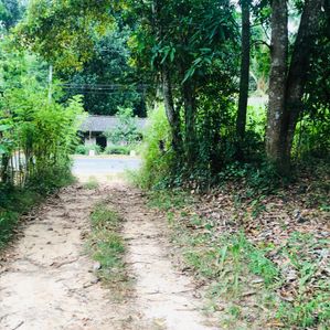 Land for Sale in Moneragala - Image 4