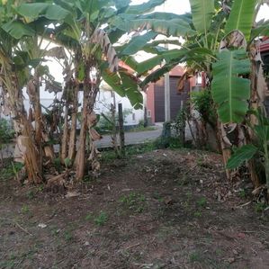 Land for Sale in Pannipitiya - Image 3