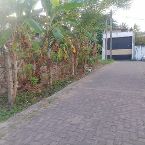 Land for Sale in Pannipitiya - Image 4