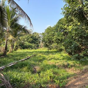 Land for Sale in Hanwella - Image 2