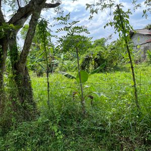 Land for Sale in Hanwella - Image 3