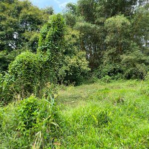 Land for Sale in Hanwella - Image 4