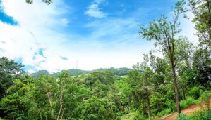 Heerassagala 22 Perch Land for Sale