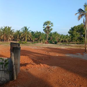 Coconut land for sale in Laya Waves Kalkudah (C7-8358) - Image 4