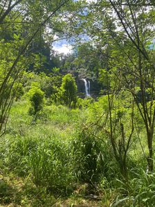 Land For Sale Ginigathhena