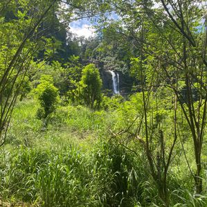 Land For Sale Ginigathhena - Image 2
