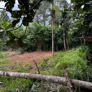 ? *LAND FOR SALE | KANDY TOWN* ?️ - Image 2